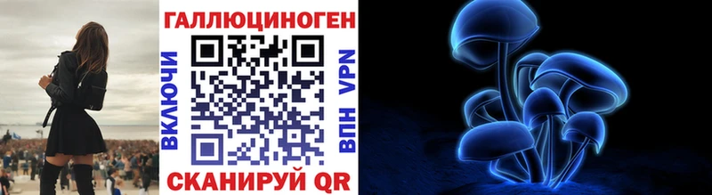 где найти наркотики  Черногорск  Галлюциногенные грибы MAGIC MUSHROOMS 